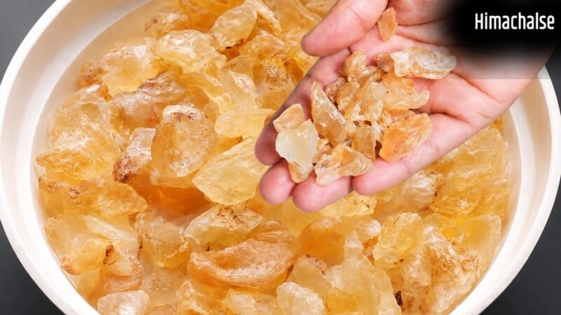 1 दिन में कितने चम्मच गोंद कतीरा खाना चाहिए? जानें फायदे और जरूरी सावधानियां​