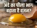 क्या अंडे का पीला भाग खाने से सच में बढ़ता है वजन? जानें क्या कहते हैं एक्सपर्ट?