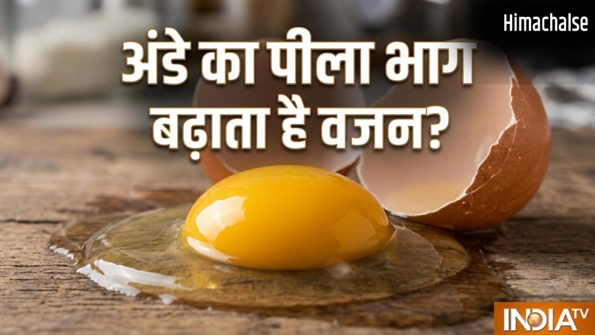 क्या अंडे का पीला भाग खाने से सच में बढ़ता है वजन? जानें क्या कहते हैं एक्सपर्ट?
