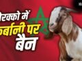 Eid-Ul-Adha 2026: जिस मोरक्को में 99% मुस्लिम आबादी, वहां कुर्बानी पर बैन क्यों लगा था?​