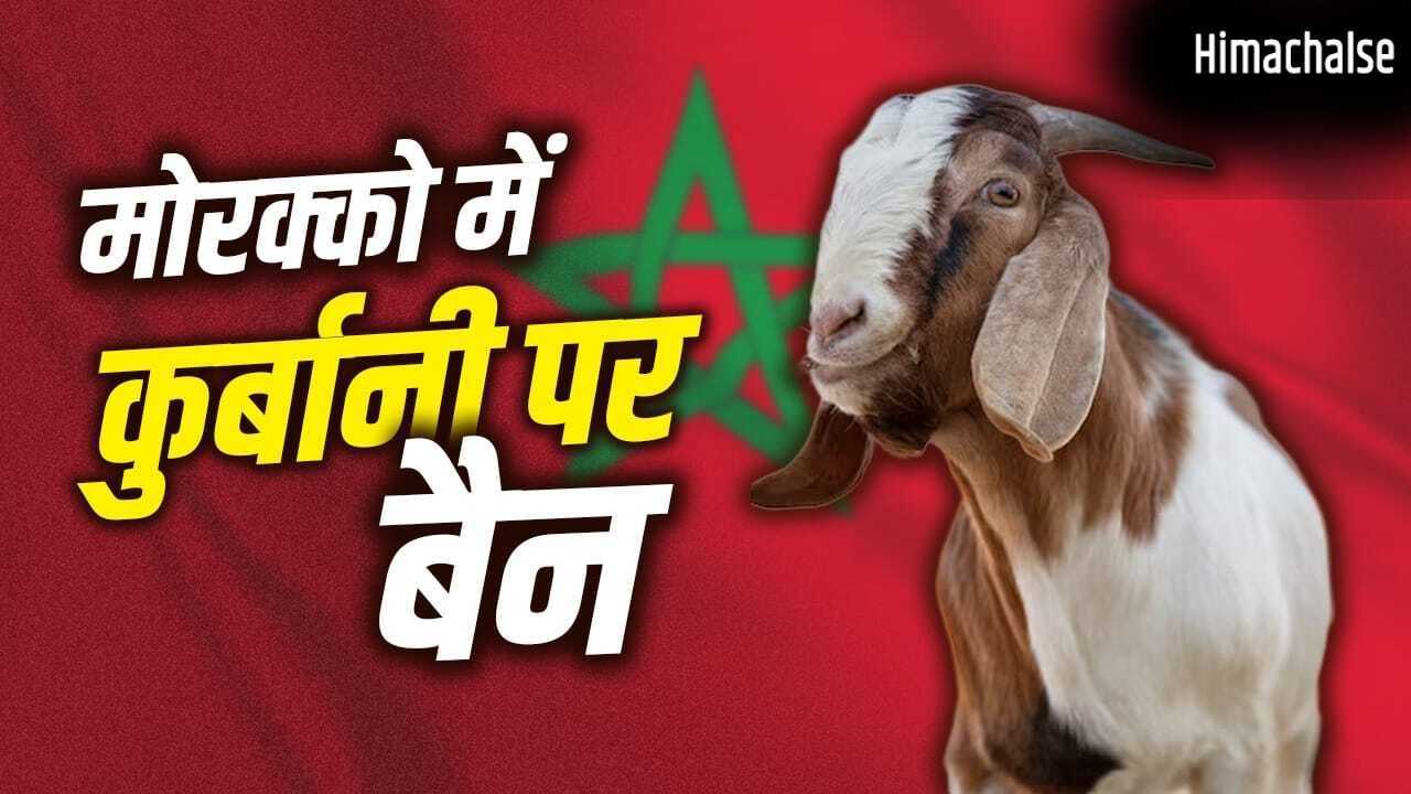 Eid-Ul-Adha 2026: जिस मोरक्को में 99% मुस्लिम आबादी, वहां कुर्बानी पर बैन क्यों लगा था?​