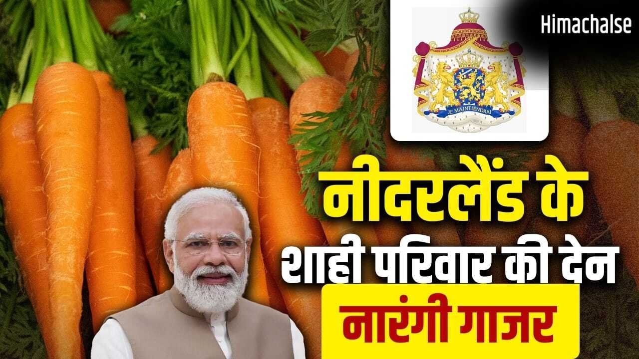 Netherlands: नारंगी गाजर कैसे नीदरलैंड के शाही परिवार के सम्मान का प्रतीक बनी? जहां पहुंचे PM मोदी​