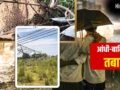 कहीं पेड़ गिरे तो कहीं उड़ गए आशियाने…UP में आंधी-बारिश का कहर, 31 मौतें; चित्रकूट में 500 तोतों की भी गई जान​