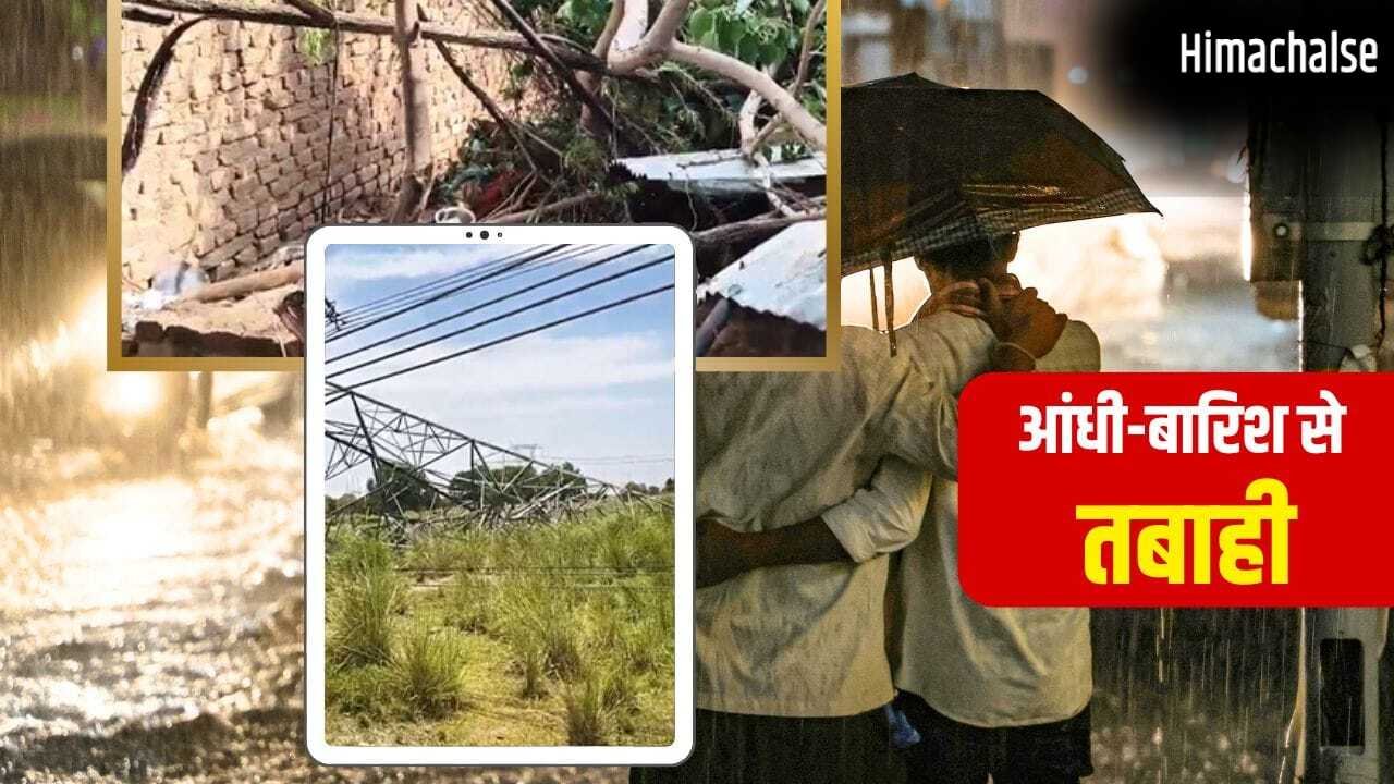 कहीं पेड़ गिरे तो कहीं उड़ गए आशियाने…UP में आंधी-बारिश का कहर, 31 मौतें; चित्रकूट में 500 तोतों की भी गई जान​