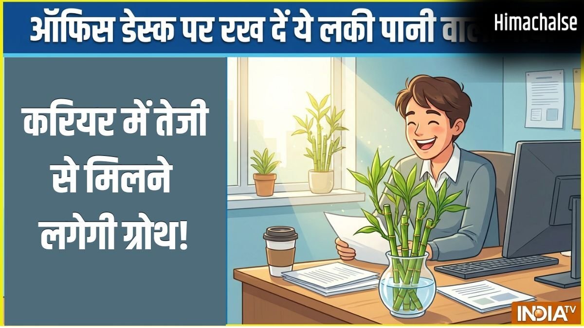 Pani Wala Paudha: ऑफिस डेस्क पर रख दें ये लकी पानी वाला पौधा, करियर में तेजी से होगी ग्रोथ!​