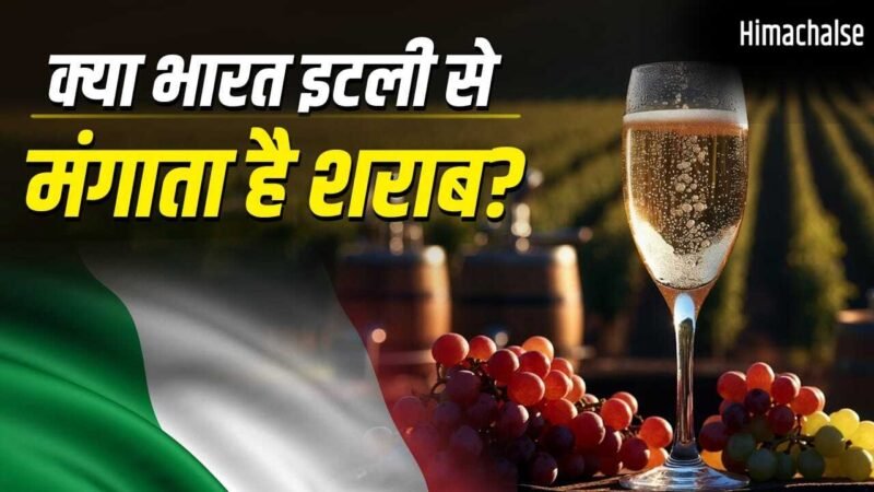 PM Modi Italy Visit: न अमेरिका, न फ्रांस, इटली कैसे बना शराब का गढ़? सबको पीछे छोड़ा​