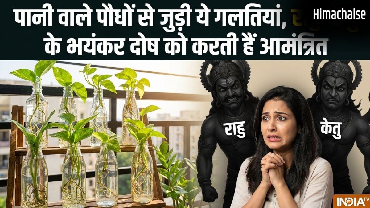 Water Plants Vastu: घर में लगा रखे हैं पानी वाले पौधे तो कभी न करें ये 5 गलतियां, नहीं तो राहु-केतु कर देंगे बर्बाद​