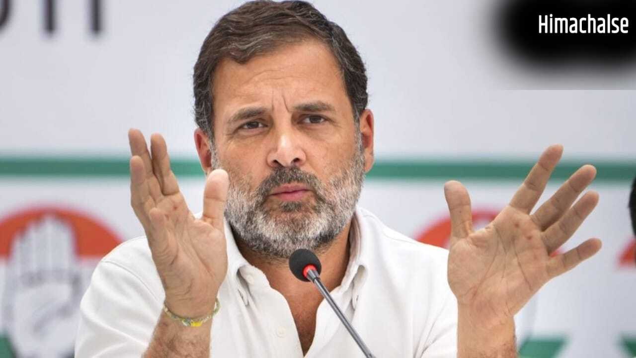 राहुल गांधी की बढ़ सकती हैं मुश्किलें, आय से अधिक संपत्ति के आरोप पर हाईकोर्ट ने CBI-ED से 8 हफ्ते में मांगा जवाब​