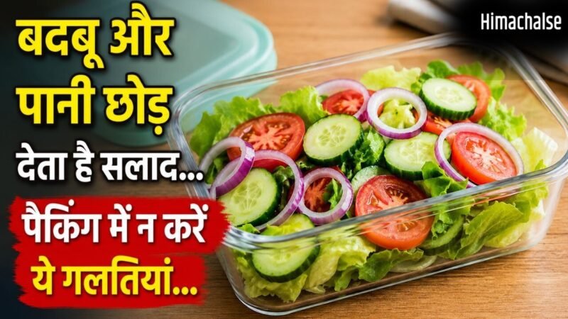 सलाद को टिफिन में पैक करते समय न करें ये गलतियां, जल्दी हो सकता है खराब​