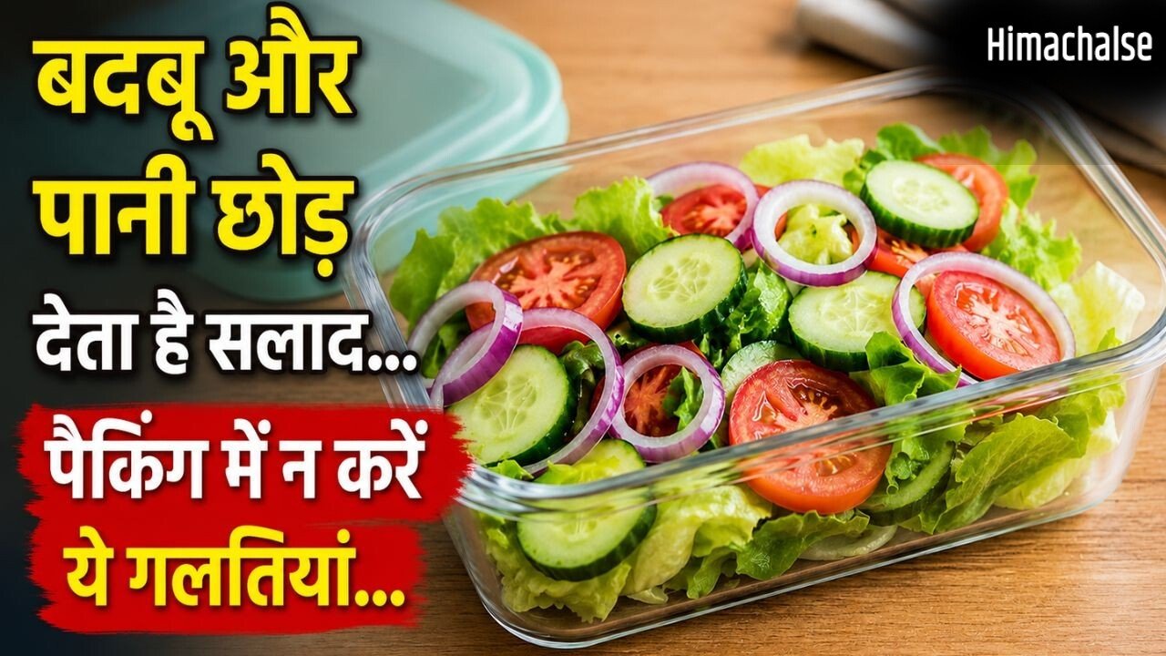 सलाद को टिफिन में पैक करते समय न करें ये गलतियां, जल्दी हो सकता है खराब​
