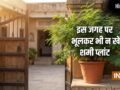 Shami Plant Vastu: घर पर यहां गलती से भी न लगाएं शमी का पौधा, पैसा आने की बजाय छा सकती है कंगाली!​