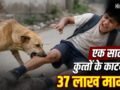Stray Dogs Case Verdict: न UP, न गुजरात, किस राज्य में कुत्तों के काटने के सबसे ज्यादा मामले? SC ने सुनाया फैसला​