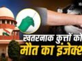 आवारा कुत्तों के मामलों की सुनवाई में आर्टिकल-21 का जिक्र क्यों? पूरे मामले में कब-क्या हुआ, यहां समझें