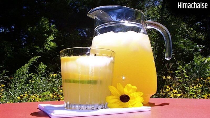 Summer Drinks: लू और तपती गर्मी से बचना है तो पिएं ये 5 देसी Drinks, मिलेगा इंस्टेंट Cooling Effect​