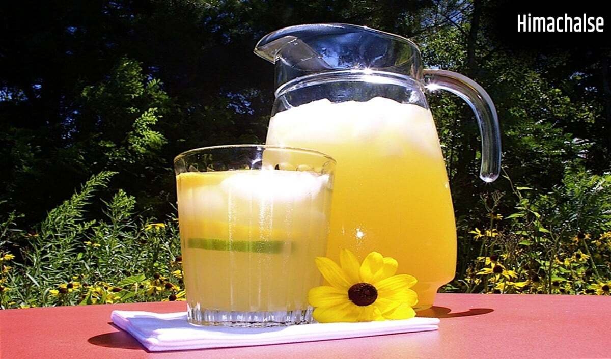 Summer Drinks: लू और तपती गर्मी से बचना है तो पिएं ये 5 देसी Drinks, मिलेगा इंस्टेंट Cooling Effect​