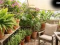 Organic Fertilizer: घर पर इस तरह से बनाएं होममेड खाद, Summer में भी खिल उठेंगे आपके Plants​