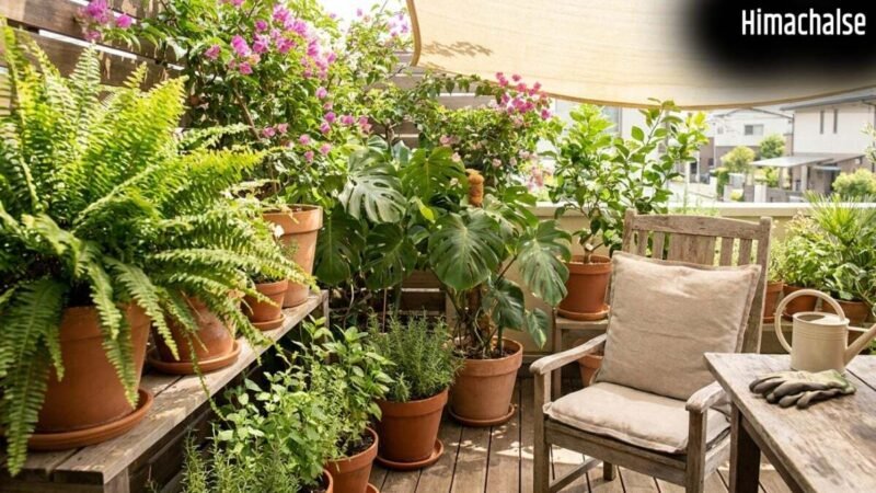 Organic Fertilizer: घर पर इस तरह से बनाएं होममेड खाद, Summer में भी खिल उठेंगे आपके Plants​