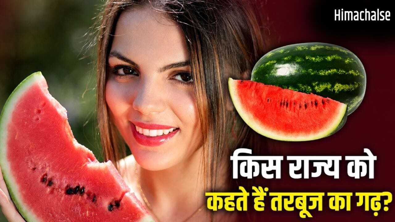 Watermelon: UAE-मालदीव तक भारतीय तरबूज की डिमांड, कौन सा राज्य सबसे ज्यादा उगा रहा?