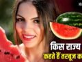 Watermelon: मालदीव-कतर तक भारतीय तरबूज की डिमांड, किस राज्य ने सबसे ज्यादा उगाकर रिकॉर्ड बनाया?​