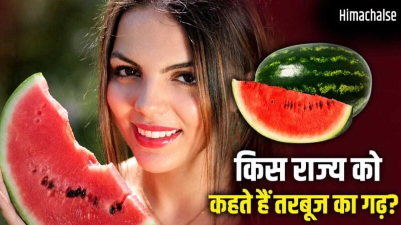 Watermelon: मालदीव-कतर तक भारतीय तरबूज की डिमांड, किस राज्य ने सबसे ज्यादा उगाकर रिकॉर्ड बनाया?​