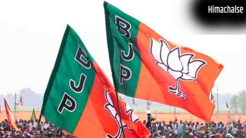 यूपी MLC चुनाव 2026: BJP ने किया उम्मीदवारों का ऐलान, इन पर जताया भरोसा, देखें लिस्ट​