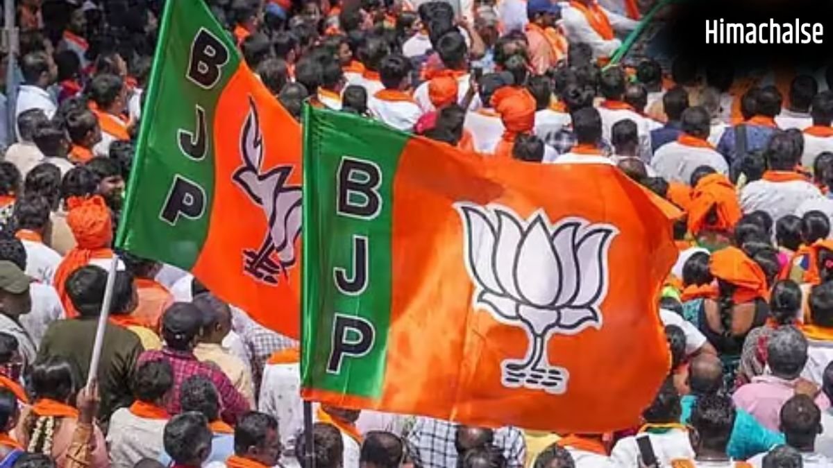 यूपी में BJP ने स्नातक और शिक्षक निर्वाचन क्षेत्रों के MLC चुनाव के लिए किया उम्मीदवारों का ऐलान, पढ़ें पूरी लिस्ट​