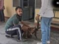 UP में बकरीद से पहले बीमार हो रहे बकरे, पशु अस्पतालों में इलाज कराने पहुंच रहे लोग; आखिर क्या है वजह?​