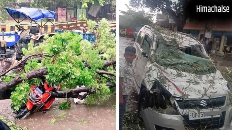 24 घंटे में 111 मौतें, 72 घायल… UP में आंधी-तूफान से भारी तबाही, 26 जिलों में मचा हाहाकार!​