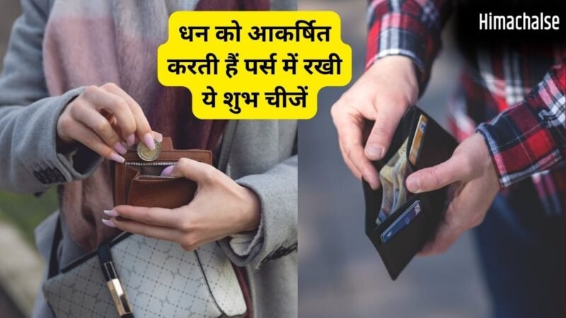 पर्स में पैसों के अलावा रखें ये शुभ चीजें, धन लाभ और बरकत के खुलेंगे रास्ते​