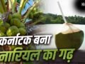 Coconut: टूटा केरलम का रिकॉर्ड, कर्नाटक कैसे बना देश को सबसे ज्यादा नारियल देने वाला राज्य?​