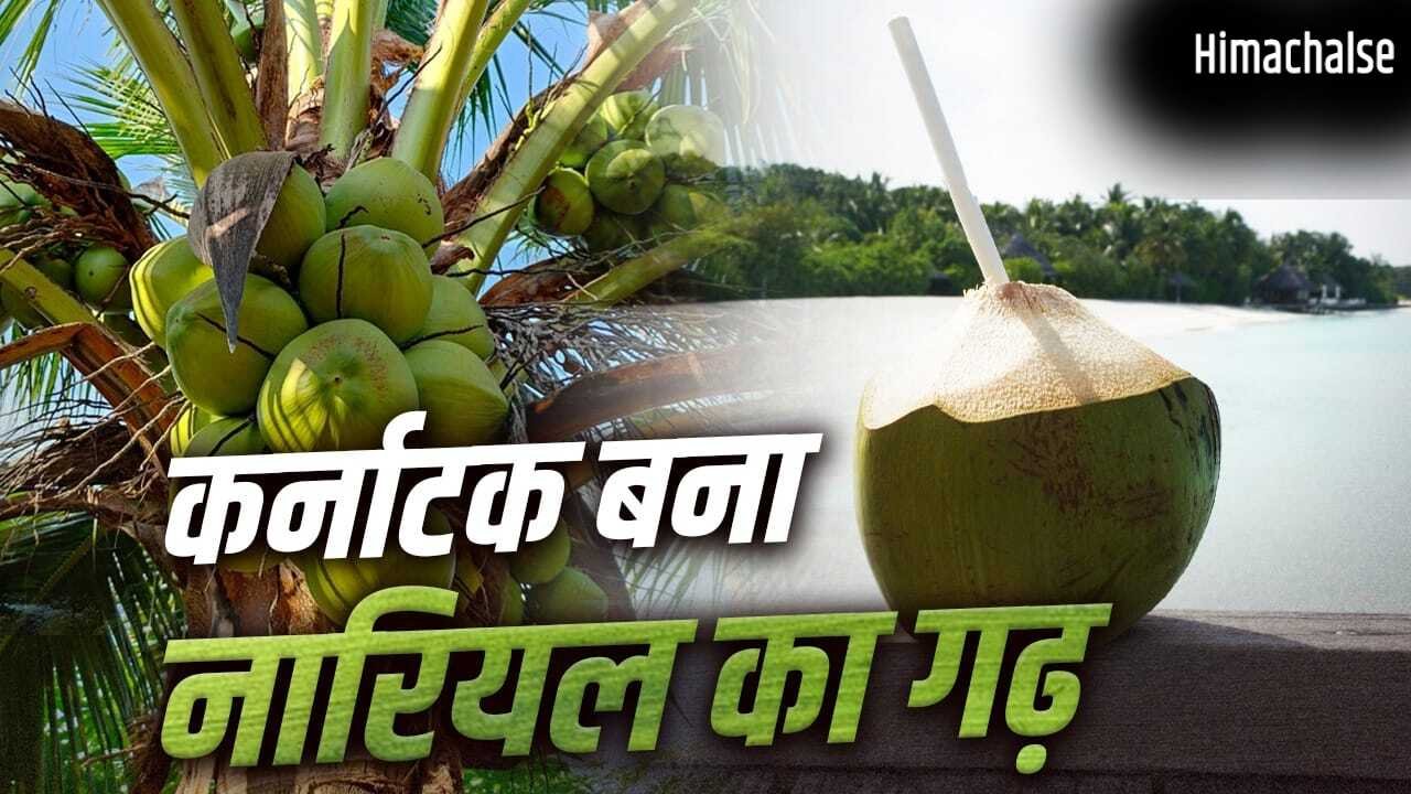 Coconut: टूटा केरलम का रिकॉर्ड, कर्नाटक कैसे बना देश को सबसे ज्यादा नारियल देने वाला राज्य?​