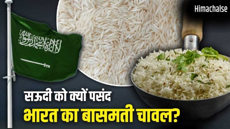 Basmati Rice: सऊदी क्यों बना भारतीय बासमती चावल का सबसे बड़ा खरीदार? 5 बड़े कारण​