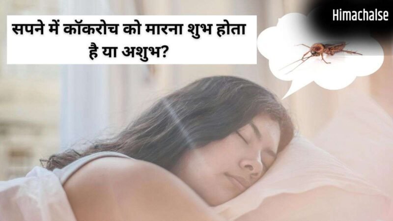 Cockroach Dream Meaning: सपने में बार-बार कॉकरोच देखना किस बात का संकेत होता है? जानें जीवन पर इसका प्रभाव​