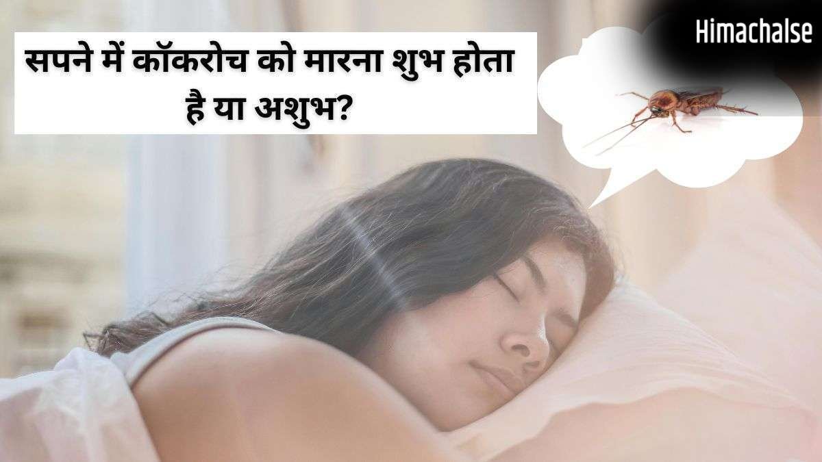 Cockroach Dream Meaning: सपने में बार-बार कॉकरोच देखना किस बात का संकेत होता है? जानें जीवन पर इसका प्रभाव​