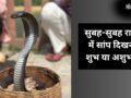सुबह-सुबह जब अचानक रास्ते में दिख जाए सांप, तो इसका क्या मतलब होता है? जानें इसके पीछे के छिपे बड़े संकेत