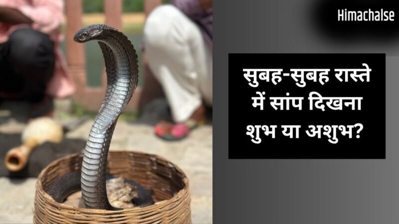 सुबह-सुबह जब अचानक रास्ते में दिख जाए सांप, तो इसका क्या मतलब होता है? जानें इसके पीछे के छिपे बड़े संकेत​