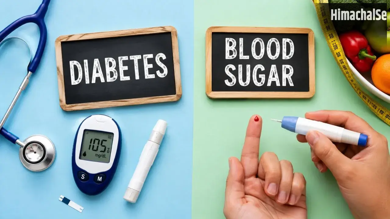 Diabetes Or Blood Sugar: क्या डायबिटीज और ब्लड शुगर एक ही बीमारी है या अलग? आसान भाषा समझें​