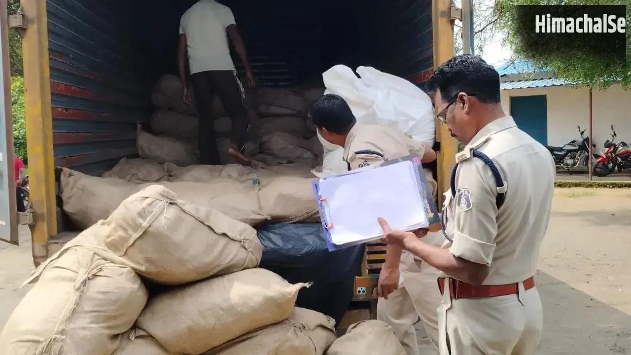 प्रतिबंधित सुगंधित तंबाकू पर शिकंजा, गोंदिया में FDA की छापेमारी से गुटखा माफियाओं में हड़कंप​