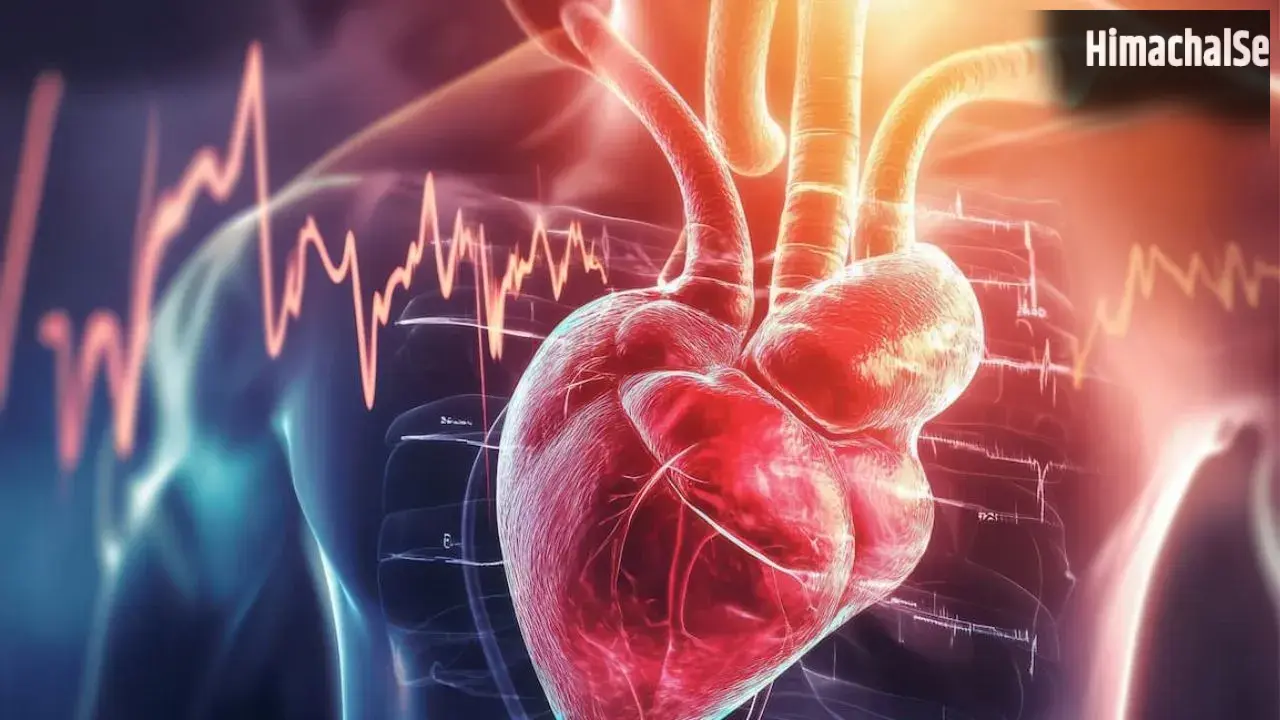 Heart Attack Risk : सुबह की ये 4 गलतियां बढ़ा सकती हैं हार्ट अटैक का खतरा, रोज करते हैं तो हो जाएं सतर्क​