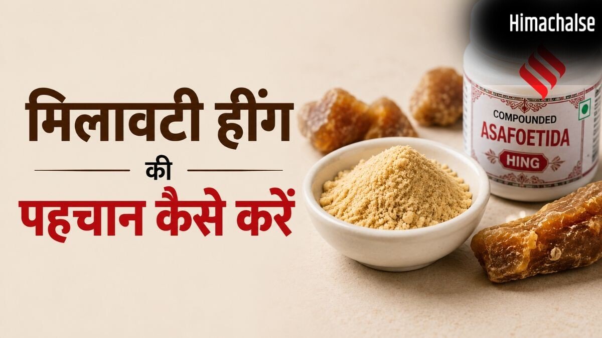 कहीं मिलावटी हींग तो नहीं खा रहे, सिर्फ 1 आसान ट्रिक से करें पहचान​