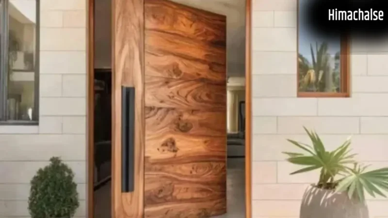 Main Door Vastu: घर के लिए किस दिशा का मुख्य द्वार है सबसे शुभ? जानिए किन बातों से आ सकती है कंगाली​