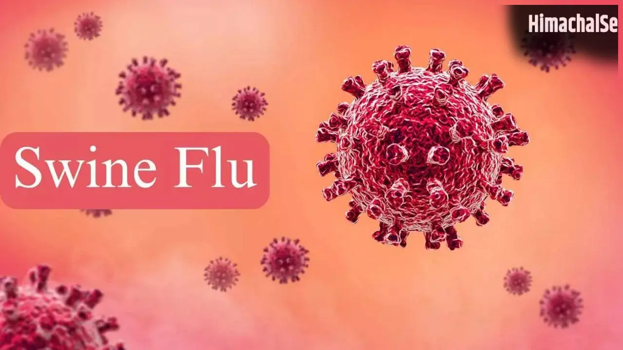 Swine Flu Prevention: बारिश के मौसम में क्यों बढ़ जाता है स्वाइन फ्लू का खतरा? जानें कैसे करें बचाव​