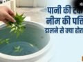 पानी की टंकी में नीम की पत्तियां डालने से क्या होता है?​