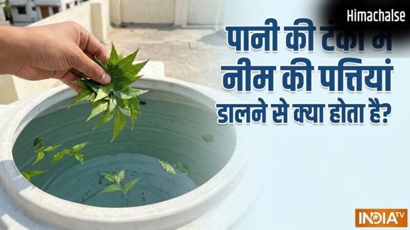 पानी की टंकी में नीम की पत्तियां डालने से क्या होता है?​
