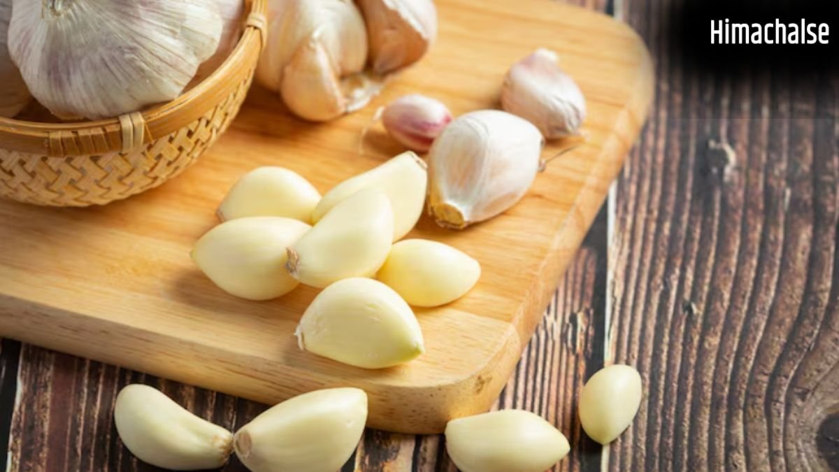 सुबह खाली पेट एक कली लहसुन खाने से क्या होता है?