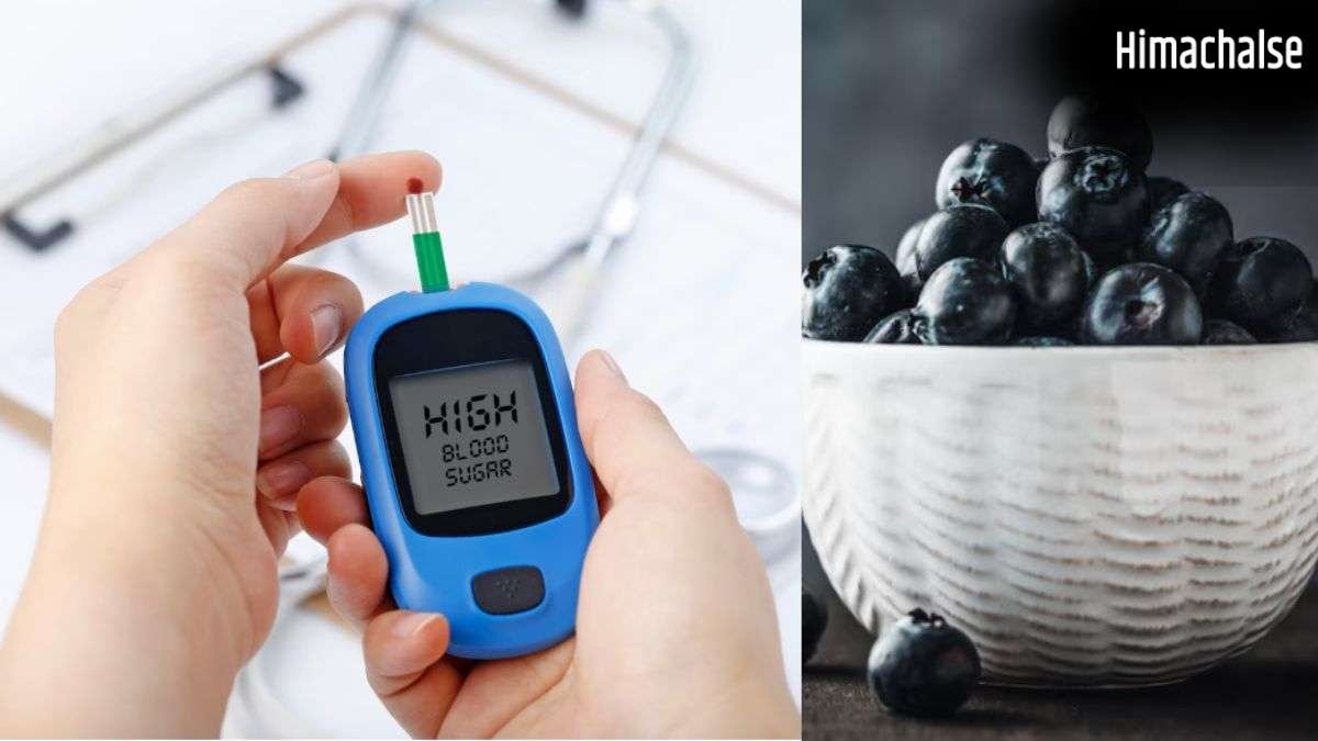 डायबिटीज के मरीज अगर रोज जामुन खाए तो क्या होगा?​