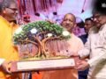 World Environment Day: जुलाई में एक दिन में लगेंगे 35 करोड़ पौधे…विश्व पर्यावरण दिवस पर सीएम योगी के 5 संकल्प​