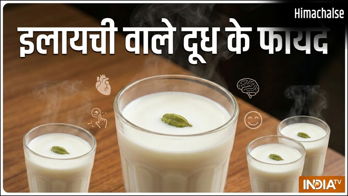 गर्मी में इलायची वाला दूध पीने से क्या फायदा होता है, जानिए इससे शरीर पर क्या असर होता है?