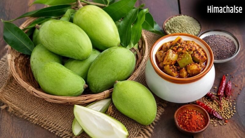 जल्दी खराब हो जाता है अचार, कच्चे आम खरीदते समय रखें इन 6 बातों का ध्यान​