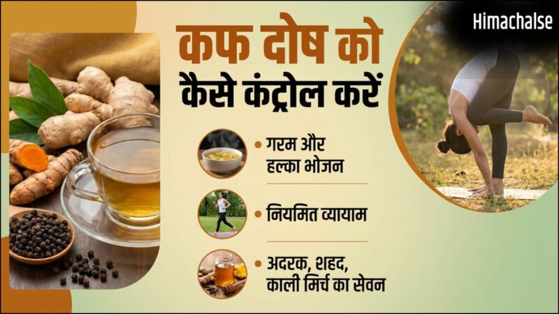 कफ दोष को कैसे कंट्रोल करें, कफ होने पर क्या खाना चाहिए और क्या नहीं?​